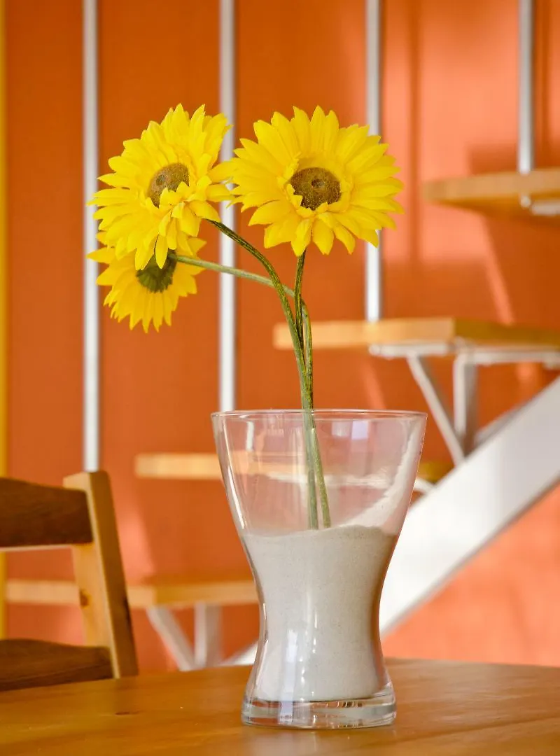 Lägenhet Bon Sol Apartamentos L'Estartit Spanien